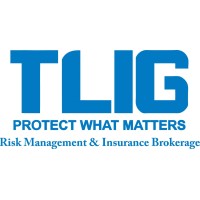 The Lynchburg Insurance Group