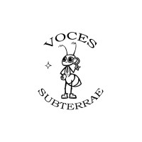 Voces Subterrae logo - Similar company to Experto En Derecho Del Arte Y Del Patrimonio