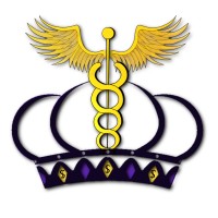 Imperial Medical Solutions, LLC logo - Similar company to Imperial College Of Medical And Health Sciences