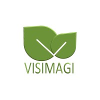 VISIMAGI logo - Similar company to Omdf