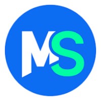 Meme Solution logo - Similar company to Silver Pine Staffing