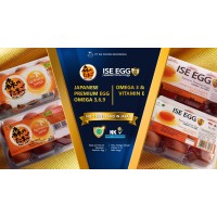 PT ISE FOODS INDONESIA (ISE FOODS INC.JAPAN) logo - Similar company to Orion Confectionery Ltd