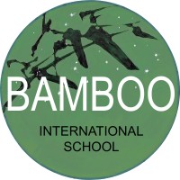 Bamboo International School logo - Similar company to Hop On Hop Off Bus