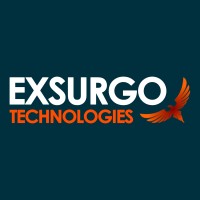 Exsurgo Technologies logo - Similar company to Resilience Code