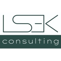 LSEK Consulting logo - Similar company to Digital Sagaa