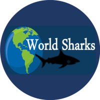 World Sharks