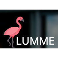 Flumme logo - Similar company to Sequire