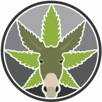 HempStone logo - Similar company to Just Bio Fiber