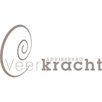 Adviesburo Veerkracht logo - Similar company to Moonlanders