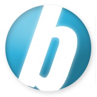 Bisnis Partner Group logo - Similar company to Htse