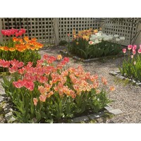 Garden Imprint logo - Similar company to My Landscaping Group