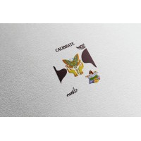 websole digital logo - Similar company to Websole