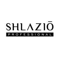 shlazio_professional logo - Similar company to Aureva World