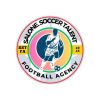 SST Football Agency logo - Similar company to Digital Wellness Africa