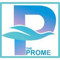 THE PROME logo - Similar company to Pageauthority Inc. Web Development, Ai Seo, And Business Automation