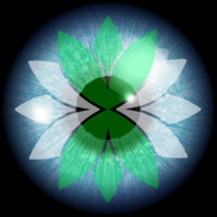 Collective Social Intelligence logo - Similar company to Timg'S Formfile - The Document Lifecycle Specialists