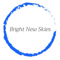Bright New Skies logo - Similar company to Bni - Bright New Ideas