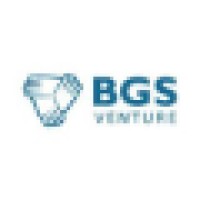 BGS Venture logo - Similar company to Flyshot