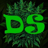 DubaSeed - Магазин семян конопли logo - Similar company to Venture Creative