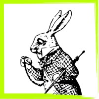Alice-Wonders.com logo - Similar company to Ipstrateg