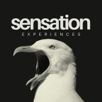 Sensation Inc. | Sensory Branding & Immersive Experiences Company logo - Similar company to Sensory Experiences