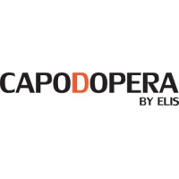 Capodopera12 logo - Similar company to Agileventures.Org