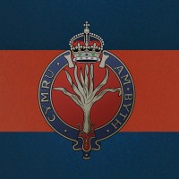 Official 1st Battalion Welsh Guards logo - Similar company to U. S. Army Center For Army Leadership
