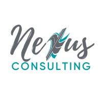 Nexus Consulting, LLC logo - Similar company to Qualia Ai Consulting