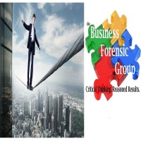 The Business Forensics Group LLC logo - Similar company to Nest Gcf S.A