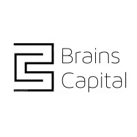 Brains Capital logo - Similar company to Active Connect Ltd