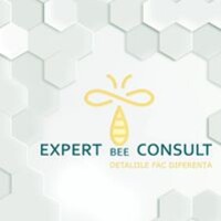 Expert BEE Consult logo - Similar company to Bee Consult Ltd