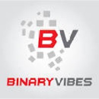 Binary Vibes (Pvt. Ltd) logo - Similar company to Softfit Technologies