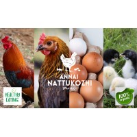Annai Nattukozhi Farms logo - Similar company to Mary Matha Matriculation Higher Secondary School