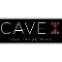 Cavex Ltd logo - Similar company to J&S Davis Ltd