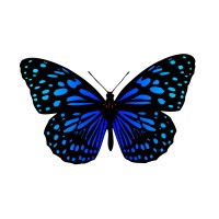 LeMonarque logo - Similar company to Lumera