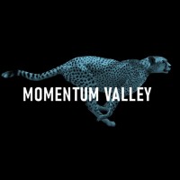 Momentum Valley logo - Similar company to Sustainability Rox