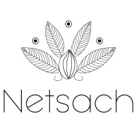 Netsach logo - Similar company to E2S