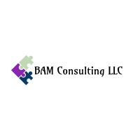 BAM Consulting LLC logo