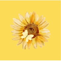 VIA ARTS AND CULTURE logo - Similar company to Systems Owl