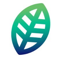 Homegrown Strategy Group