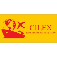 Cilex International Logistics and Trader logo - Similar company to Chilye