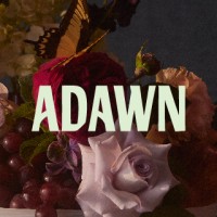 Adawn Dental Studio logo - Similar company to Access Industries