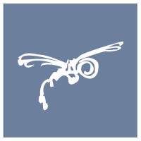 Dragonfly Video Services