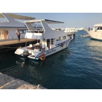 Sea Horse Hurghada Fishing Boats- مراكب سي هورس الغردقة للصيد logo - Similar company to Narwhal Designs
