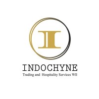 Indochyne logo - Similar company to Safe World Technologies