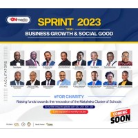 SPRINT logo - Similar company to Usoft Solutions