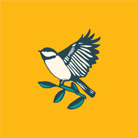 chickadeeds logo - Similar company to Izzylee'S