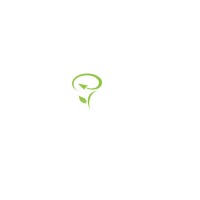 Patenting Solutions logo - Similar company to Shalev Jencmen & Co.