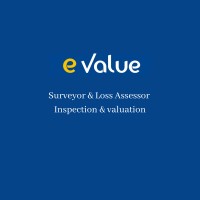 eValue India logo - Similar company to Exvalue