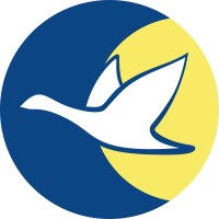 Mundo Nómada logo - Similar company to Nomada Latam